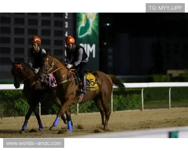 澳门赛马官网下载官方平台提供赛事直播和实时比分查询